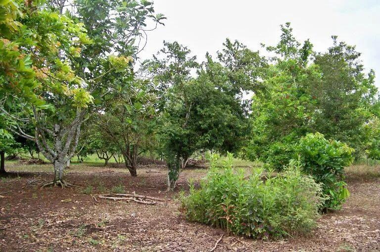 50 Acre Farm located in the village of Frank’s Eddy.