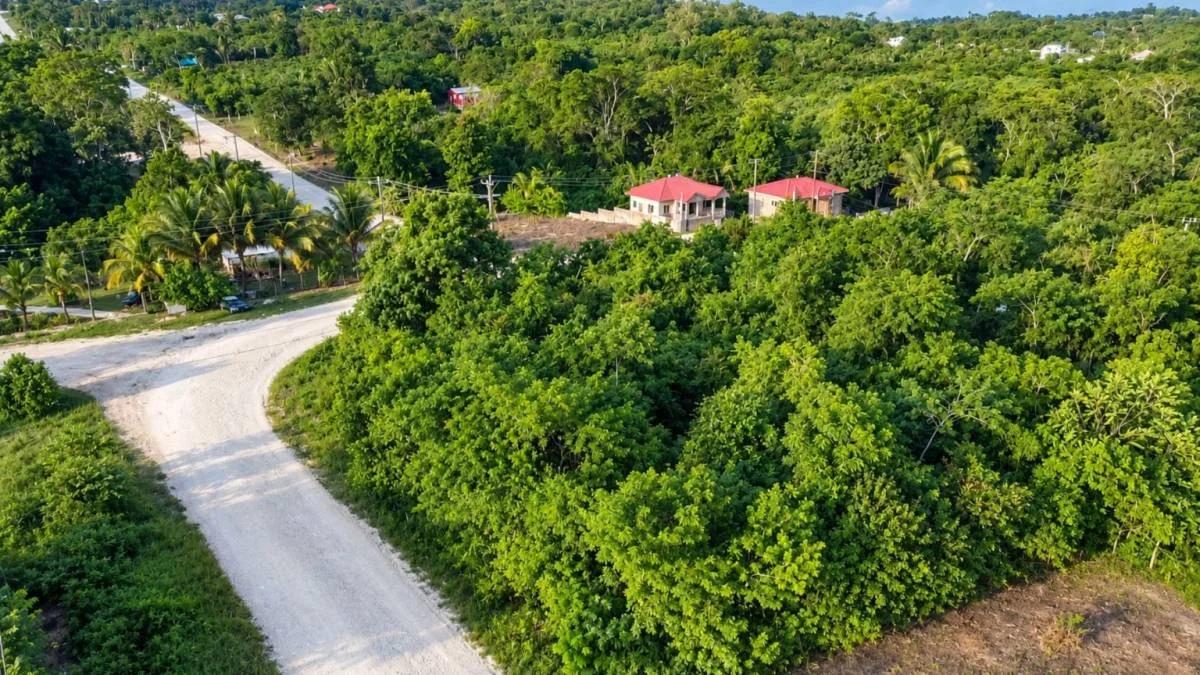Prime Residential Lot with Mountain Views in San Ignacio
