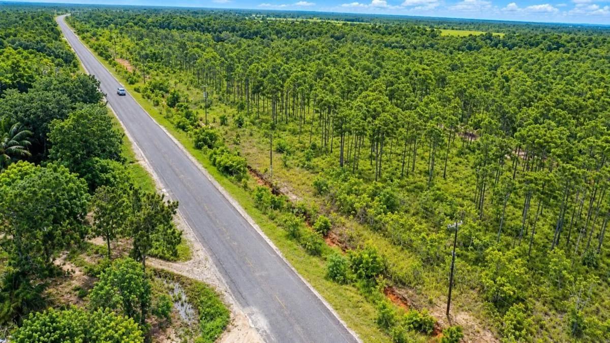 20-Acre Highway-Front Property for Sale | Southern Belize