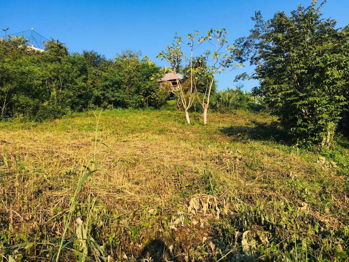 Double Lot For Sale In Benque Viejo Del Carmen