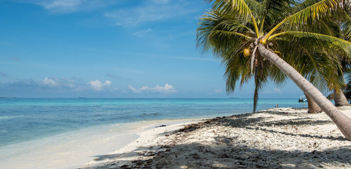 Top 4 Best Places to Retire in Belize